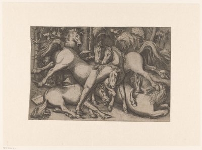 Vechtende paarden door Anonymous