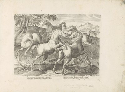 Vechtende paarden met een onder de voet gelopen paard door Anonymous