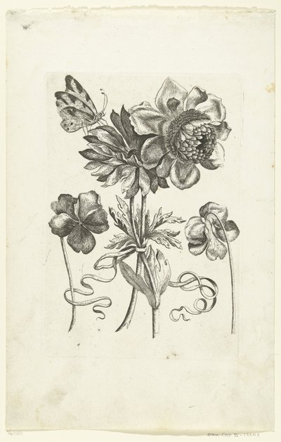 Vier bloemen, waaronder twee viooltjes door Anonymous
