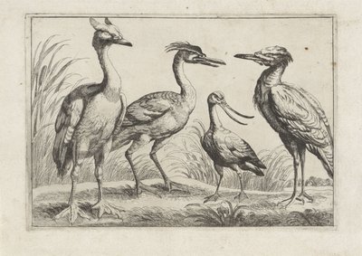 Vier waadvogels door Anonymous