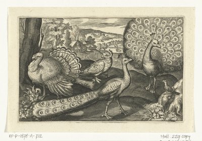 Vijf vogels waaronder lepelaar door Anonymous