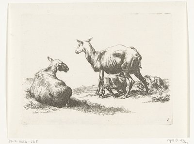 Zogend schaap met twee lammeren door Anonymous
