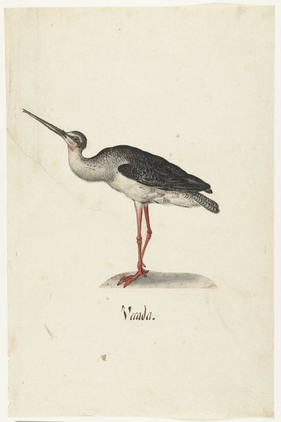Zwarte Ruiter (Vecada) (Lombard album) door Anonymous