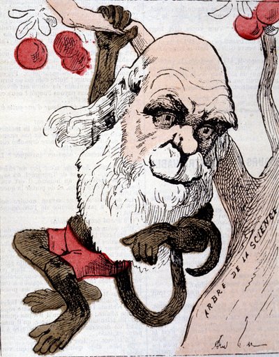 Karikatuur van Charles Robert Darwin (1809 - 1882) in "La Lune" door Anonymous Anonymous