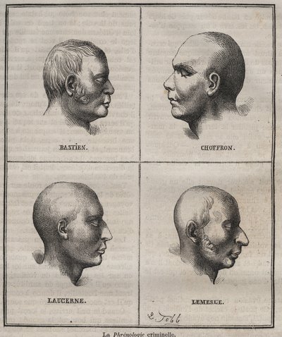 Criminele frenologie in de Brest Bagne (portretten die de fysiognomische kenmerken van verschillende soorten criminelen weergeven). Gravure in Histoire des bagnes depuis leur création à nos jours (1877) door Pierre Zaccone. door Anonymous Anonymous