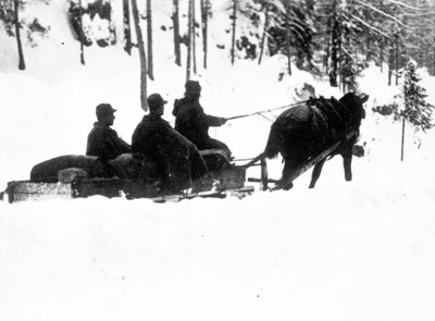 Eerste Wereldoorlog, Carso Front: Italiaanse alpine jagers (alpino of alpini) dragen voedsel op sleeën door Anonymous Anonymous