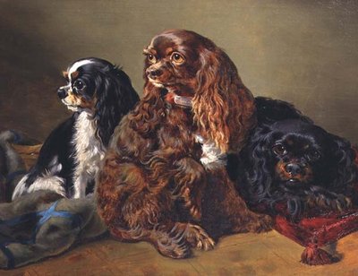 King Charles Spaniels door Anonymous Anonymous