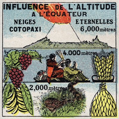 Meteorologie: invloed van hoogte op klimaat. Anonieme illustratie uit 1925. Privécollectie. door Anonymous Anonymous