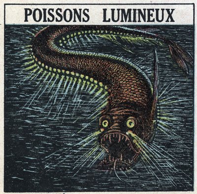 Fosforescentie: lichtgevende vis. Anonieme illustratie uit 1925. Privécollectie. door Anonymous Anonymous