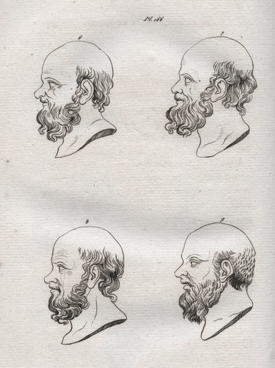 Fysiognomie - Fysiognomie - Verschillende hoofden van de Griekse filosoof Socrates (ca. 469 v.Chr.-399 v.Chr.) (Buste van Socrates (ca. 469 v.Chr.-399 v.Chr.), Atheense filosoof) gravure van 1808 in 