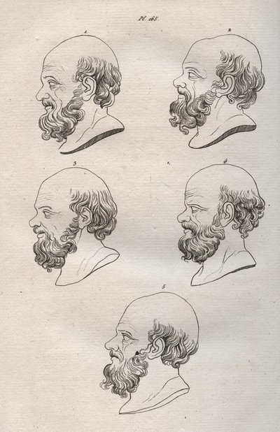 Fysiognomie - Verschillende hoofden van de Griekse filosoof Socrates (ca. 469 v.Chr.-399 v.Chr.) (buste van Socrates) gravure uit 1808 in 
