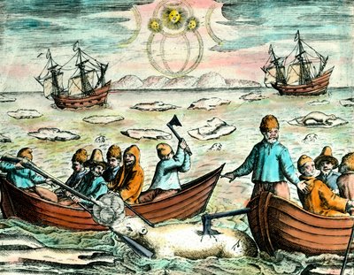 Jachtscène op ijsberen in Canada. Gravure uit de 18e eeuw. Privécollectie door Anonymous Anonymous