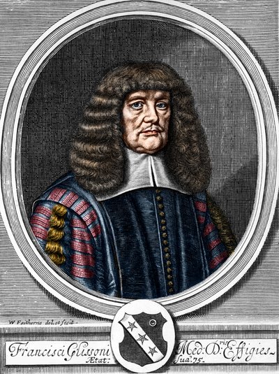 Portret van Francis Glisson (1599-1677) Britse arts, anatoom door Anonymous Anonymous