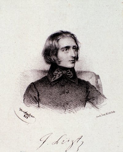 Portret van de Hongaarse componist Franz Liszt (1811-1886) door Anonymous Anonymous