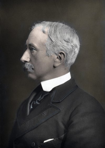 Portret van de Maarschalk Burggraaf Garnet Joseph Wolseley (1833-1913), opperbevelhebber van het Britse leger door Anonymous Anonymous
