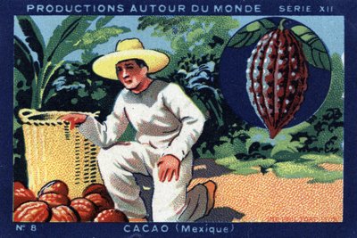 Producties over de hele wereld: Cacao in Mexico. Chromolithografie uit 1933 in “Joseph-Milliat Album” door Anonymous Anonymous