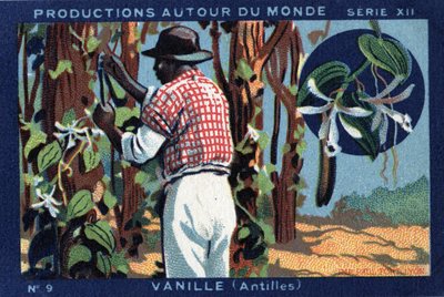 Producties over de hele wereld: Vanille in de West-Indië. Chromolithografie uit 1933 in “Joseph-Milliat Album” door Anonymous Anonymous