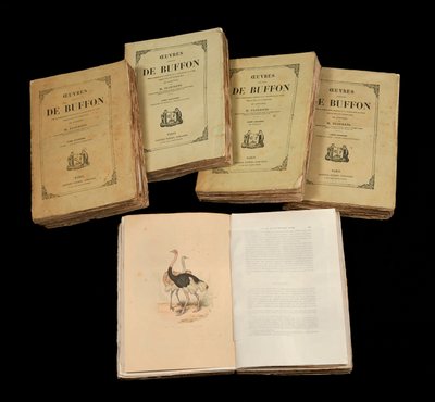 De volledige werken van Buffon (1707 - 1788) - privécollectie door Anonymous Anonymous