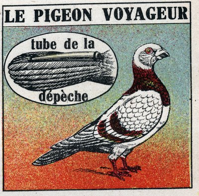 Het postkantoor: de reizende duif. Anonieme illustratie uit 1925. Privécollectie. door Anonymous Anonymous
