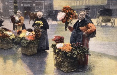 Het chrysanthemenfeest: chrysanthemenverkoper op straat. Gravure. Een van de krant "Le petit parisien" op 20/11/1910. Privécollectie. door Anonymous Anonymous