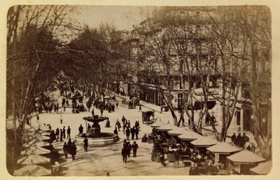 De stad Marseille en haar omgeving circa 1885-1890: De Bloemenwandeling, Courses Saint Louis, Privécollectie door Anonymous Anonymous