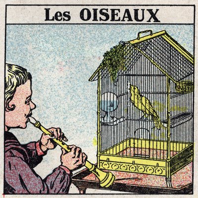 De effecten van muziek: het geluid van een fluit laat een vogel zingen in een kooi. Anonieme illustratie uit 1925. Privécollectie. door Anonymous Anonymous