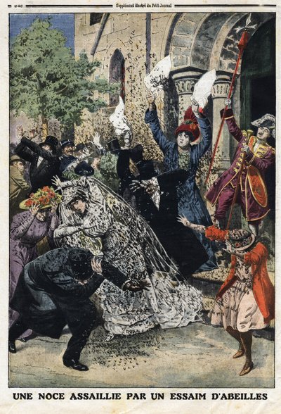 Bruiloft werd aangevallen door een zwerm bijen. Gravure in 