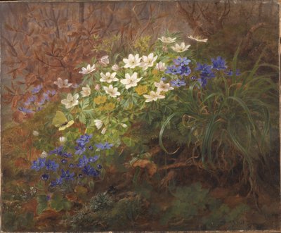 Anemonen door Anthonie Christensen