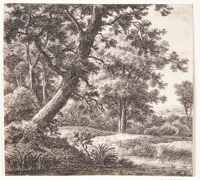  door Anthonie Waterloo
