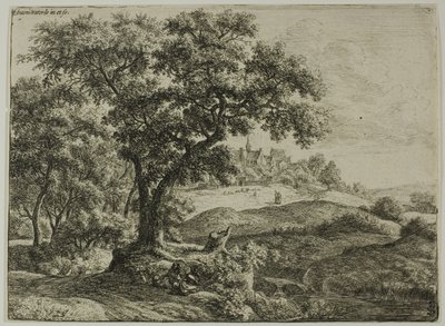 De rand van het bos door Anthonie Waterloo