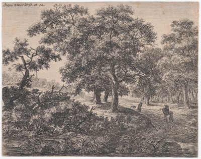 De drie bomen, 17e eeuw door Anthonie Waterloo