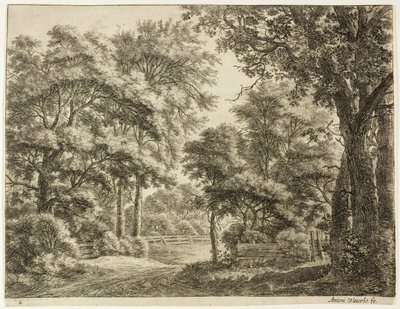 De delen van het hout die pas zijn gesneden door Anthonie Waterloo
