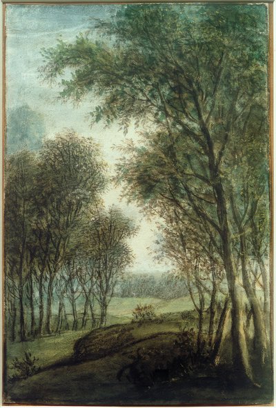 Bosrand door Anthonie Waterloo