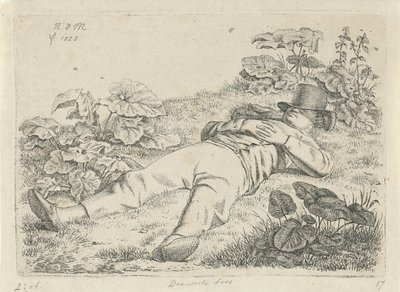 Liggend man in het gras Drentsche boer door Anthonie Willem Hendrik Nolthenius de Man