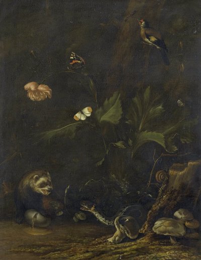Dieren en planten door Anthonie van Borssom