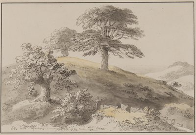 Sussex: In de buurt van St Marthas, Albury door Anthony Devis