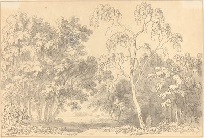 Bosrijk Landschap door Anthony Devis