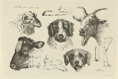 Dierenkoppen en -poten (Studies van koeien, schapen en geiten) door Anthony Oberman
