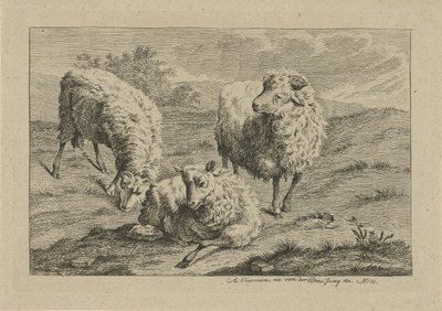 Drie schapen door Anthony Oberman