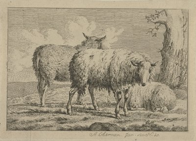 Drie schapen bij een boom door Anthony Oberman