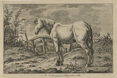 Staand paard door Anthony Oberman