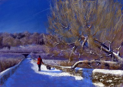 Winterwandeling door Anthony Rule