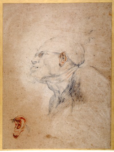 Hoofd van een man met verband, zijn linker oor apart geoefend door Anthony van Dyck