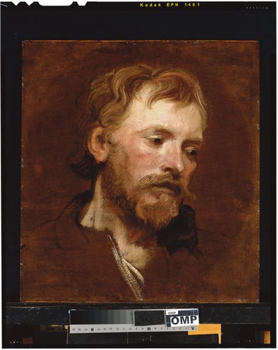 Een bebaarde man, een studie door Anthony van Dyck