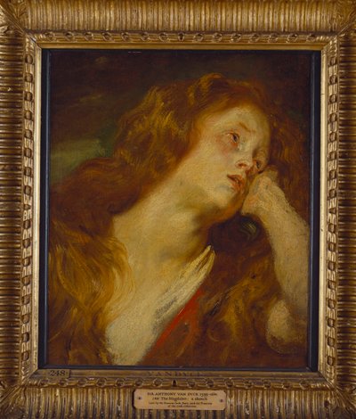 Een Jonge Vrouw, Buste Lengte, Rustend met haar Hoofd op haar Hand door Anthony van Dyck