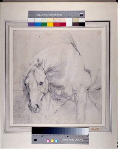 Hoofd en voorhand van een grijs paard door Anthony van Dyck
