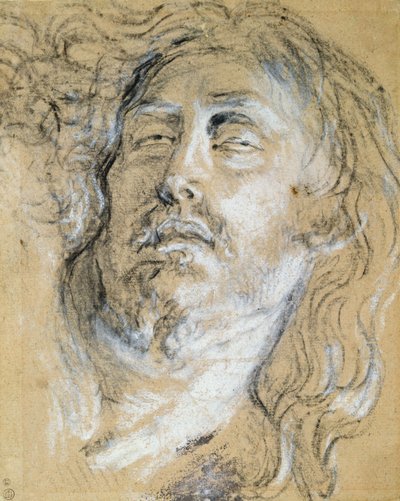 Hoofd van de dode Christus door Anthony van Dyck
