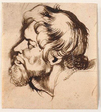Hoofd van een man door Anthony van Dyck