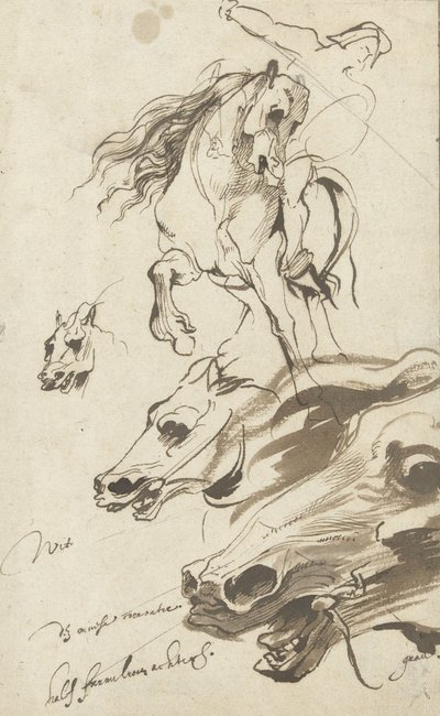Studie van ruiter en hoofd van een paard, 1620-1 door Anthony van Dyck