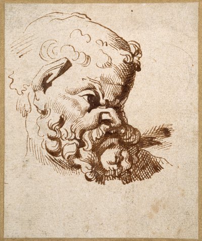 Studie van een antiek hoofd van Silenus door Anthony van Dyck